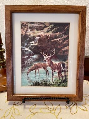 9x11” Framed Deer Waterfall Art Print - Brown and Green